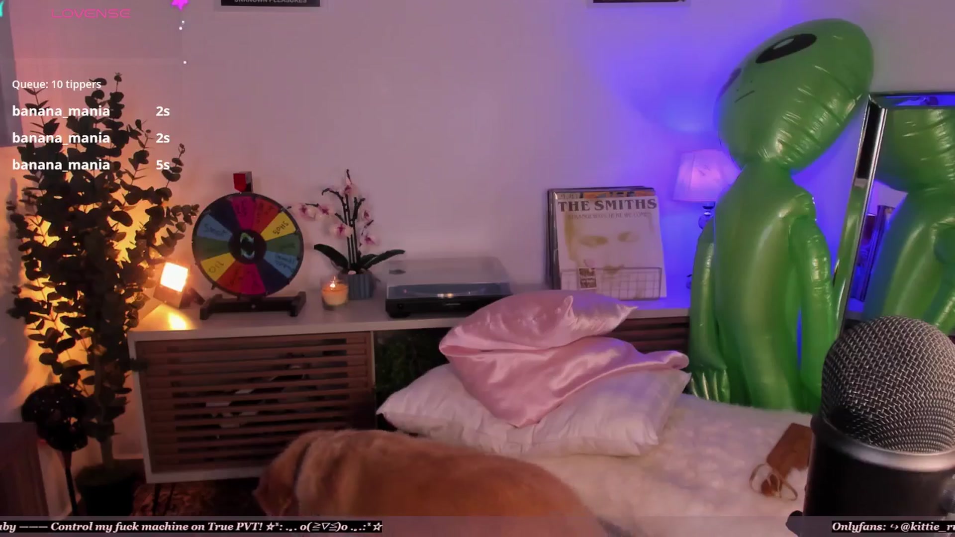 Gallery image thumbnail from kittieEVIL's myfreecams stream on, 05/03/2026, 24:51 image 16 of 20