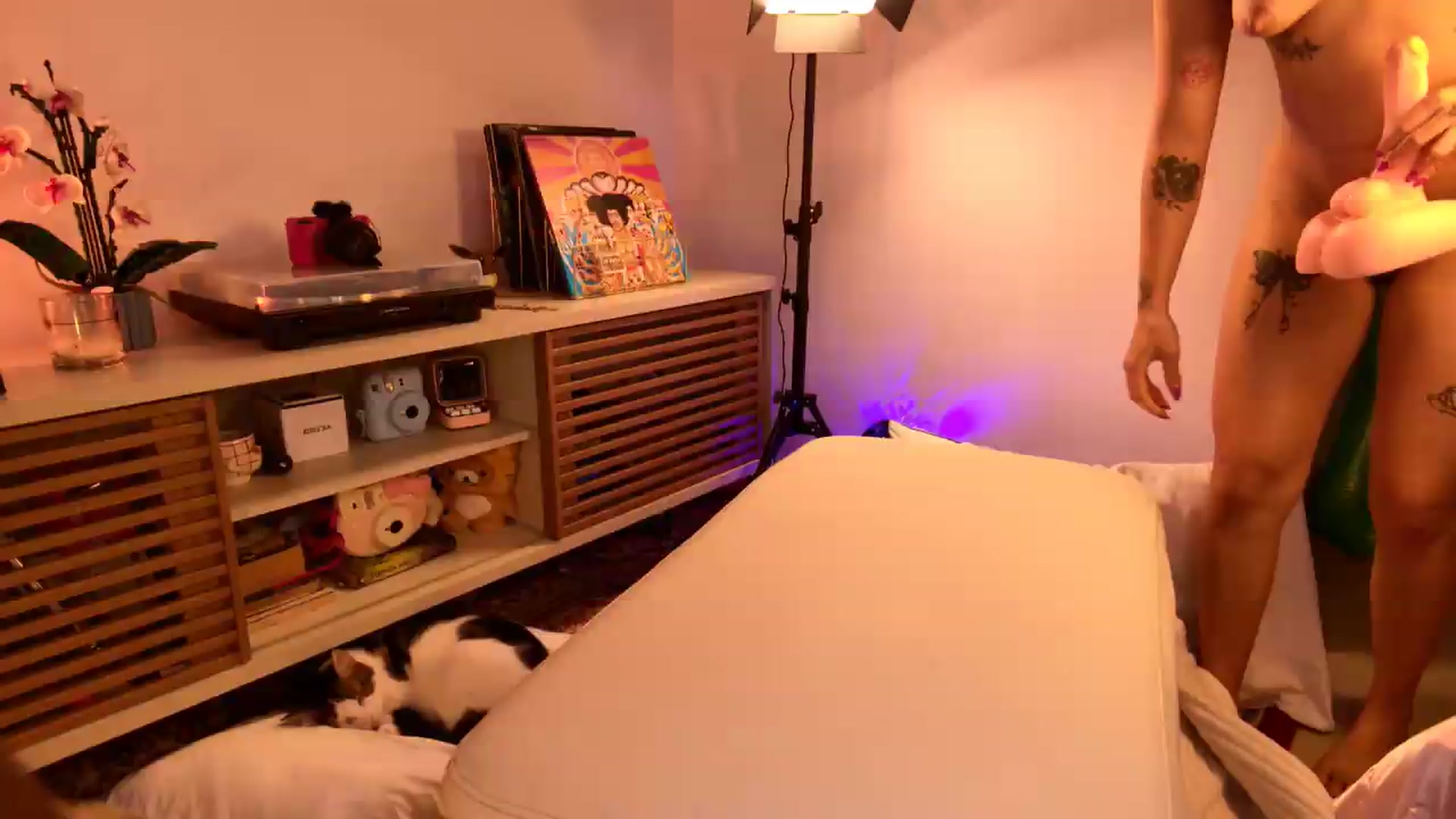 Gallery image thumbnail from kittieEVIL's myfreecams stream on, 07/11/2026, 24:02 image 12 of 20