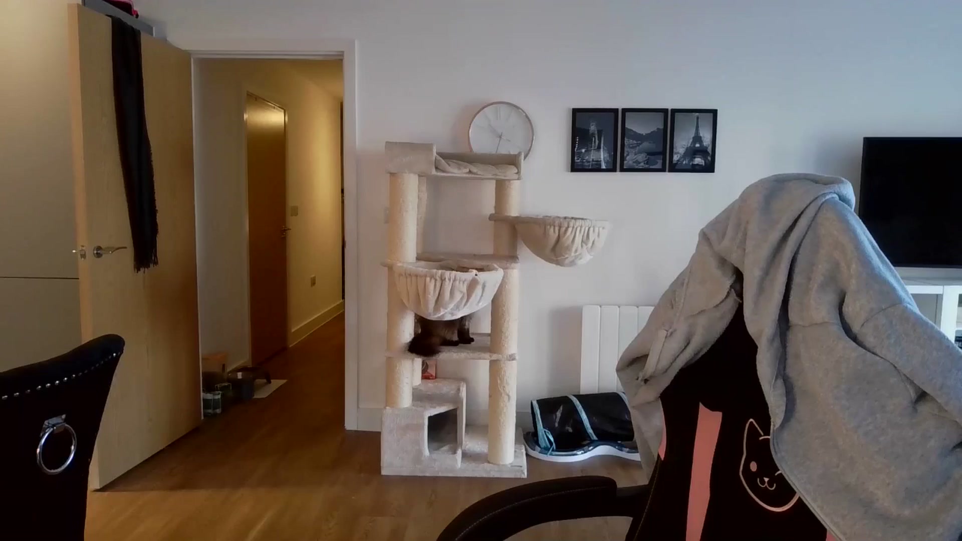 Gallery image thumbnail from kittyviolet's myfreecams stream on, 02/06/2025, 11:19 image 1 of 20