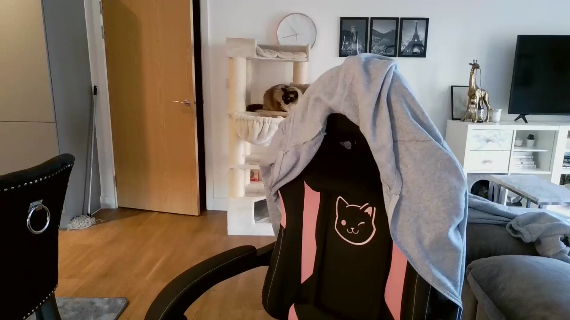 Gallery image thumbnail from kittyviolet's myfreecams stream on, 02/06/2025, 11:19 image 6 of 20