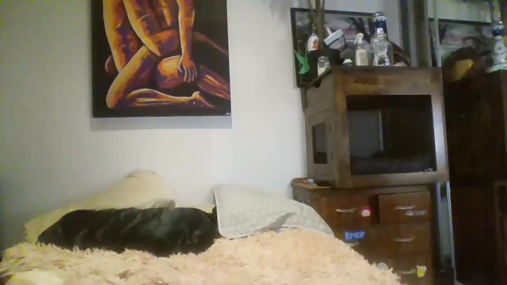 Gallery image thumbnail from kixstix's myfreecams stream on, 08/28/2024, 09:23 image 14 of 20