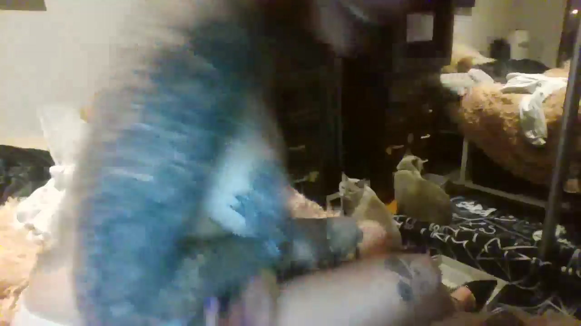Gallery image thumbnail from kixstix's myfreecams stream on, 08/28/2024, 09:56 image 12 of 20