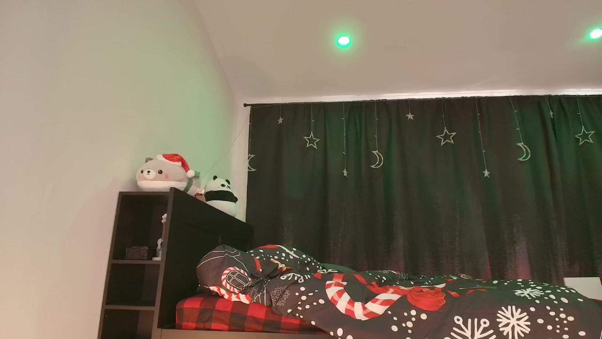 Gallery image thumbnail from kriskringle's myfreecams stream on, 12/05/2025, 05:24 image 16 of 20