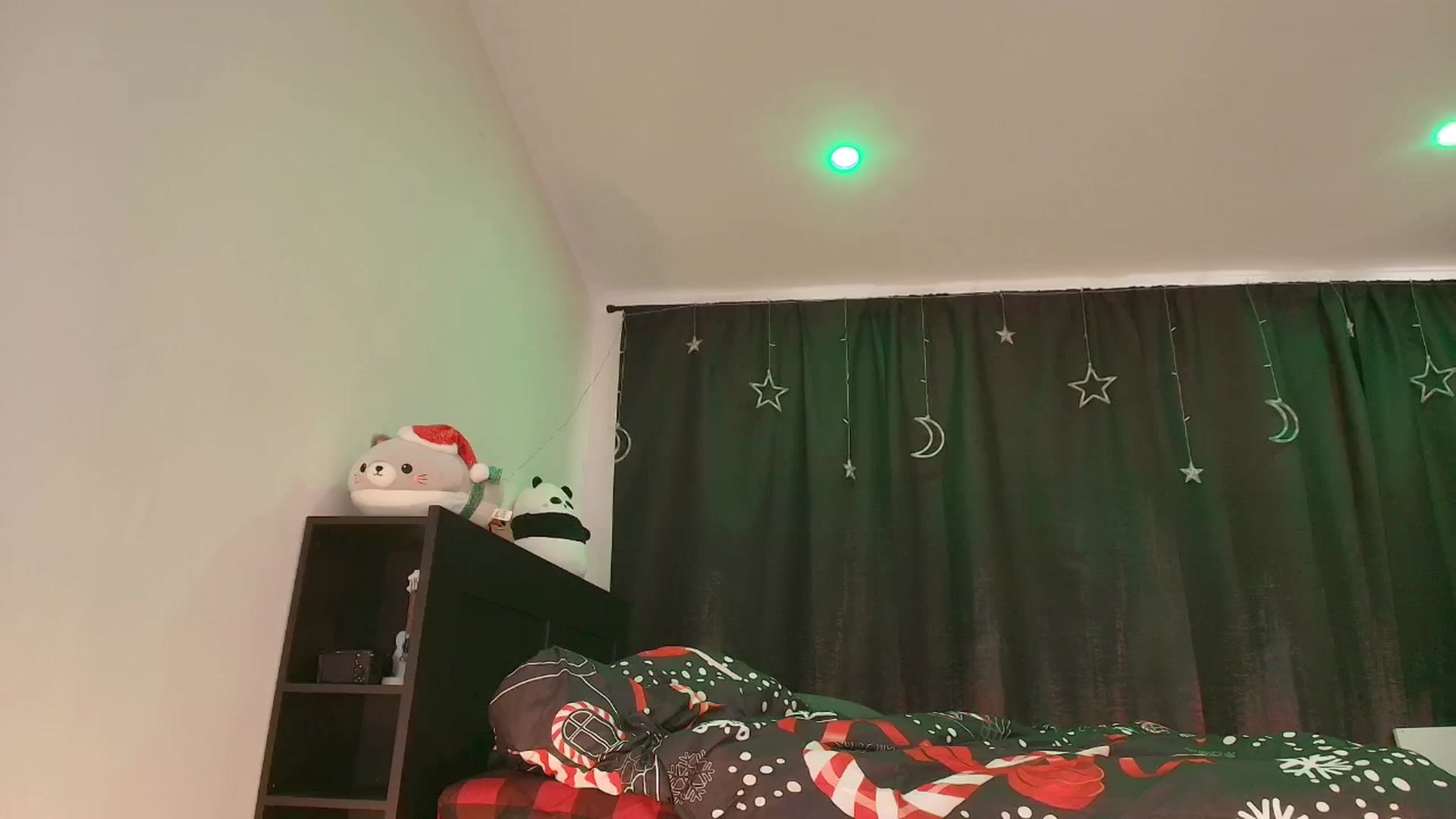 Gallery image thumbnail from kriskringle's myfreecams stream on, 12/05/2025, 05:24 image 2 of 20