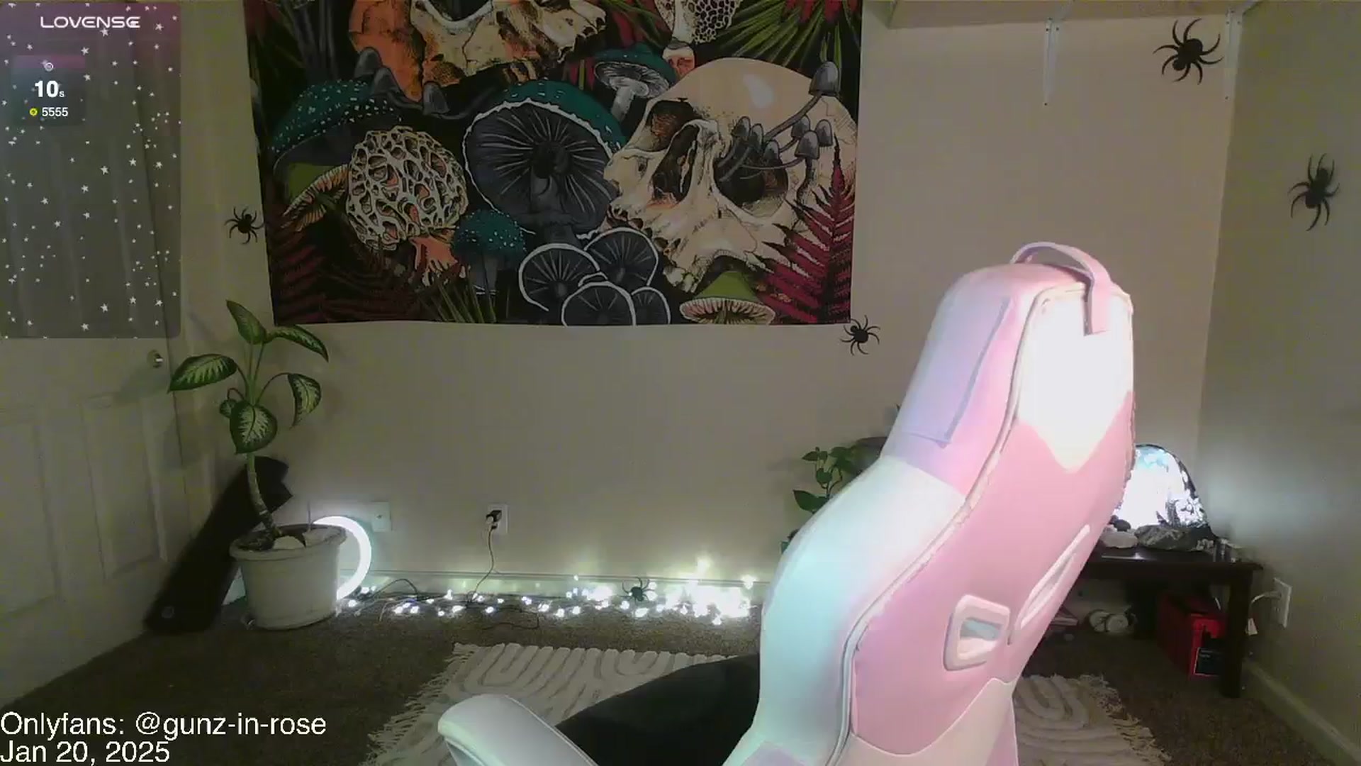 Gallery image thumbnail from kylierose's myfreecams stream on, 01/20/2025, 17:38 image 1 of 20