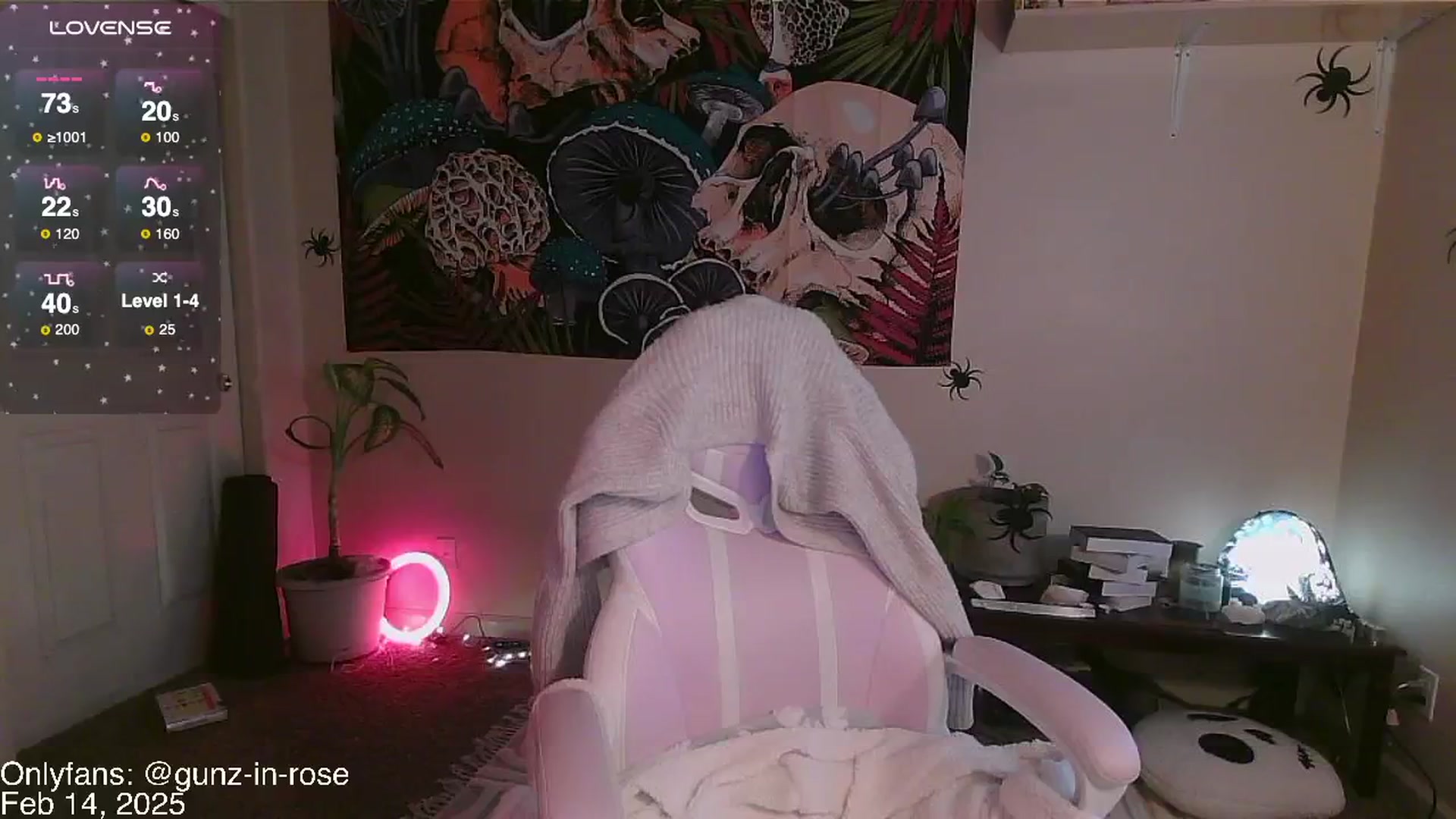 Gallery image thumbnail from kylierose's myfreecams stream on, 02/14/2025, 17:29 image 18 of 20