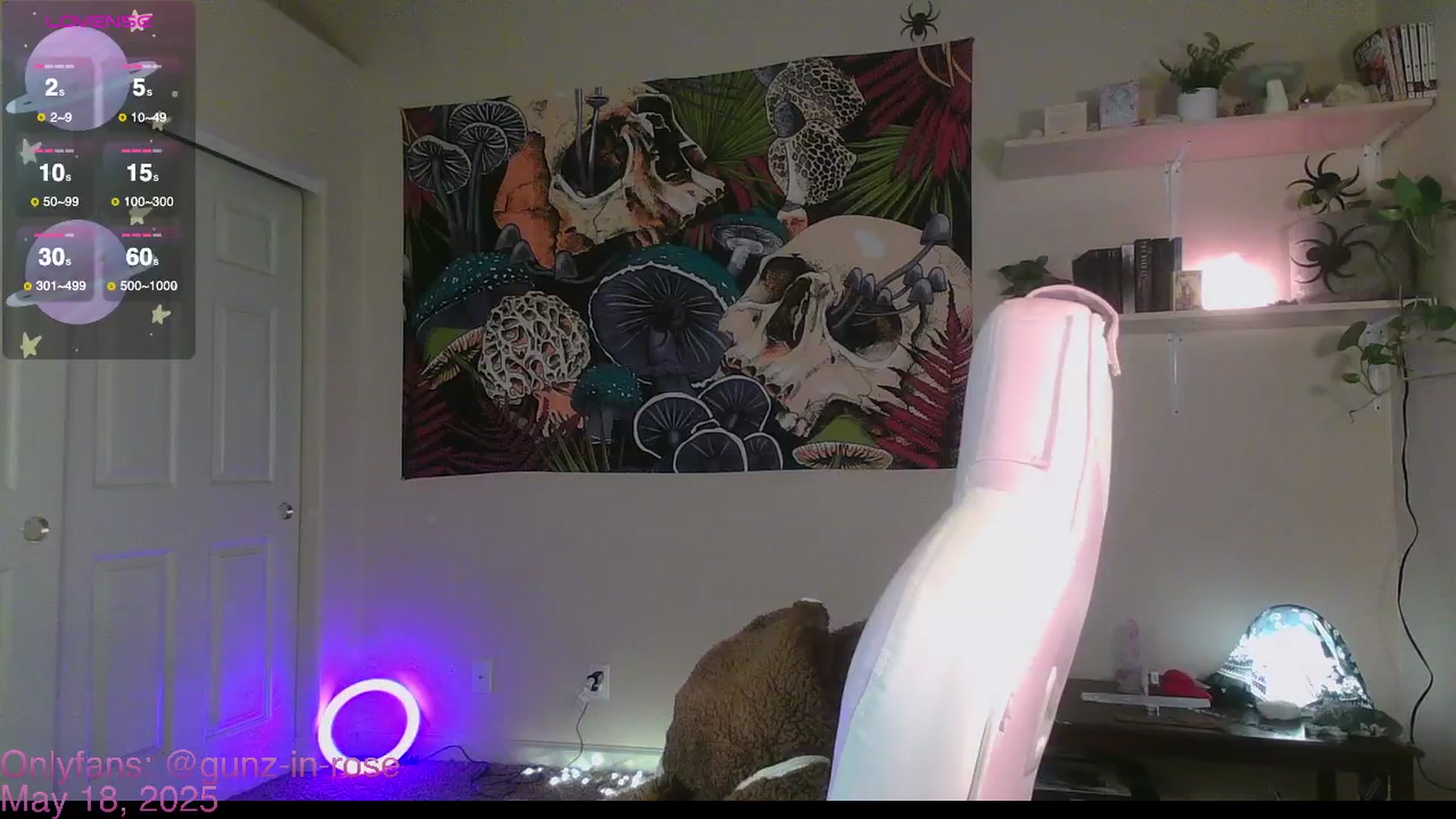 Gallery image thumbnail from kylierose's myfreecams stream on, 05/18/2025, 15:42 image 2 of 20