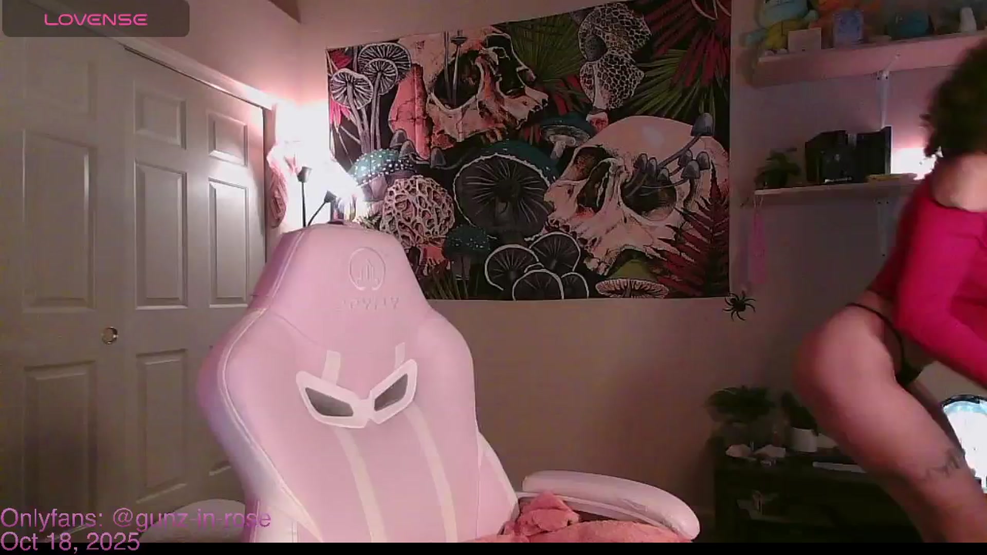 Gallery image thumbnail from kylierose's myfreecams stream on, 10/18/2025, 17:20 image 15 of 20