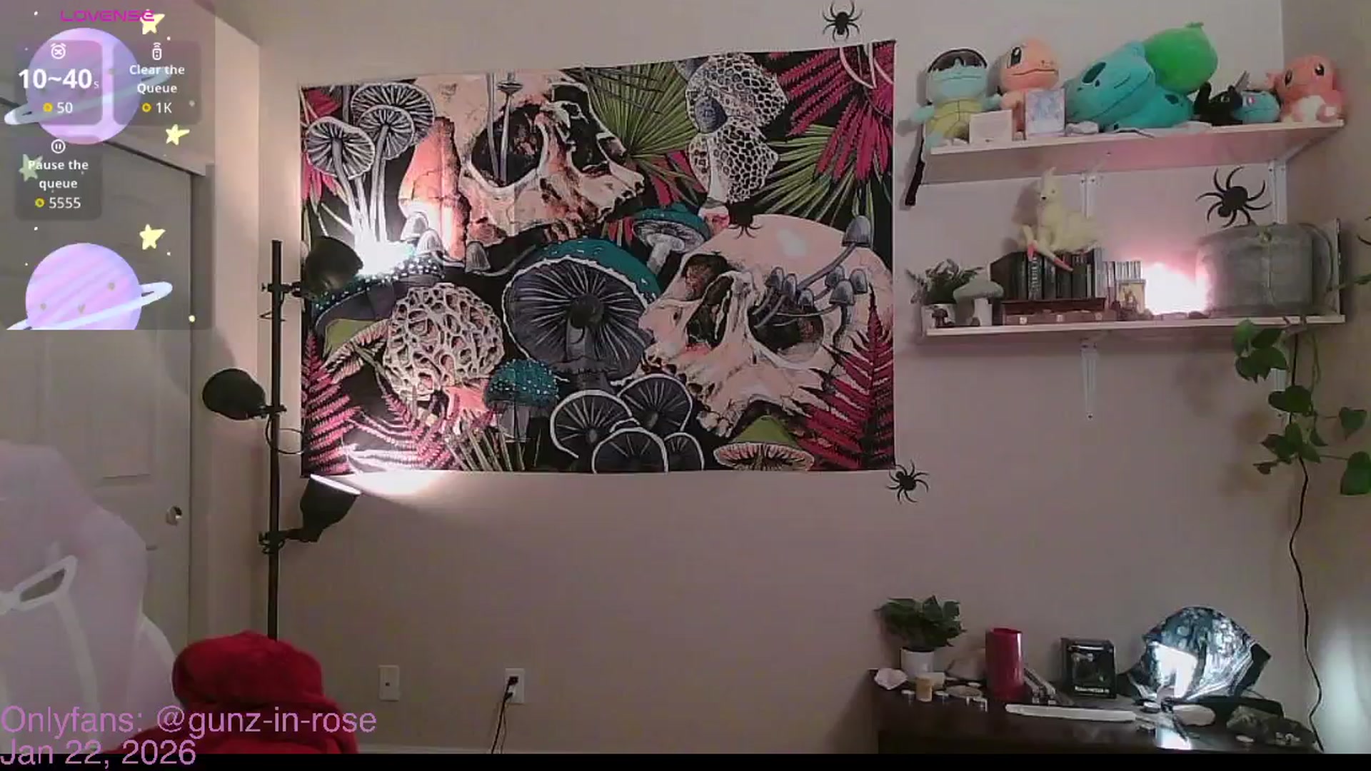 Gallery image thumbnail from kylierose's myfreecams stream on, 01/22/2026, 17:11 image 3 of 20