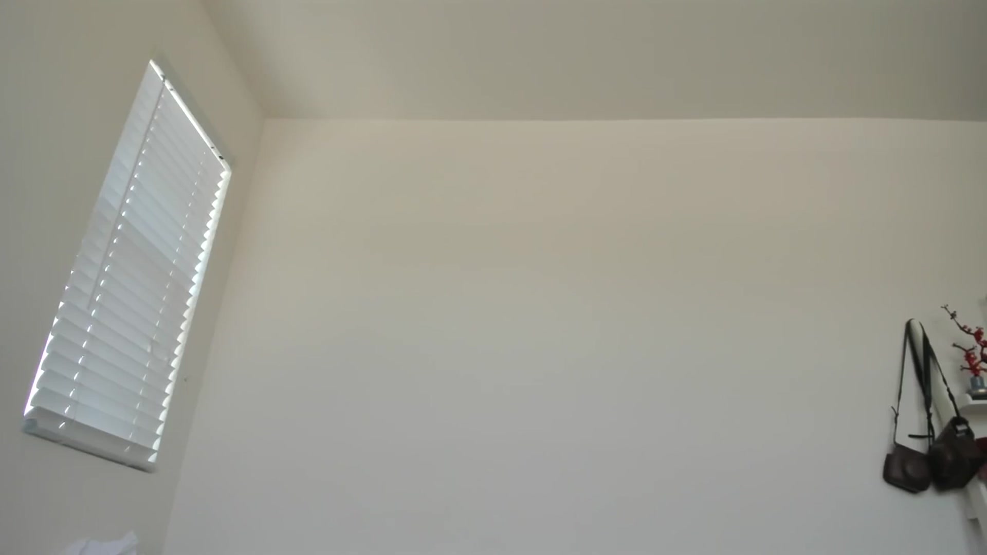 Gallery image thumbnail from lPEEPl's myfreecams stream on, 08/08/2025, 19:50 image 10 of 20
