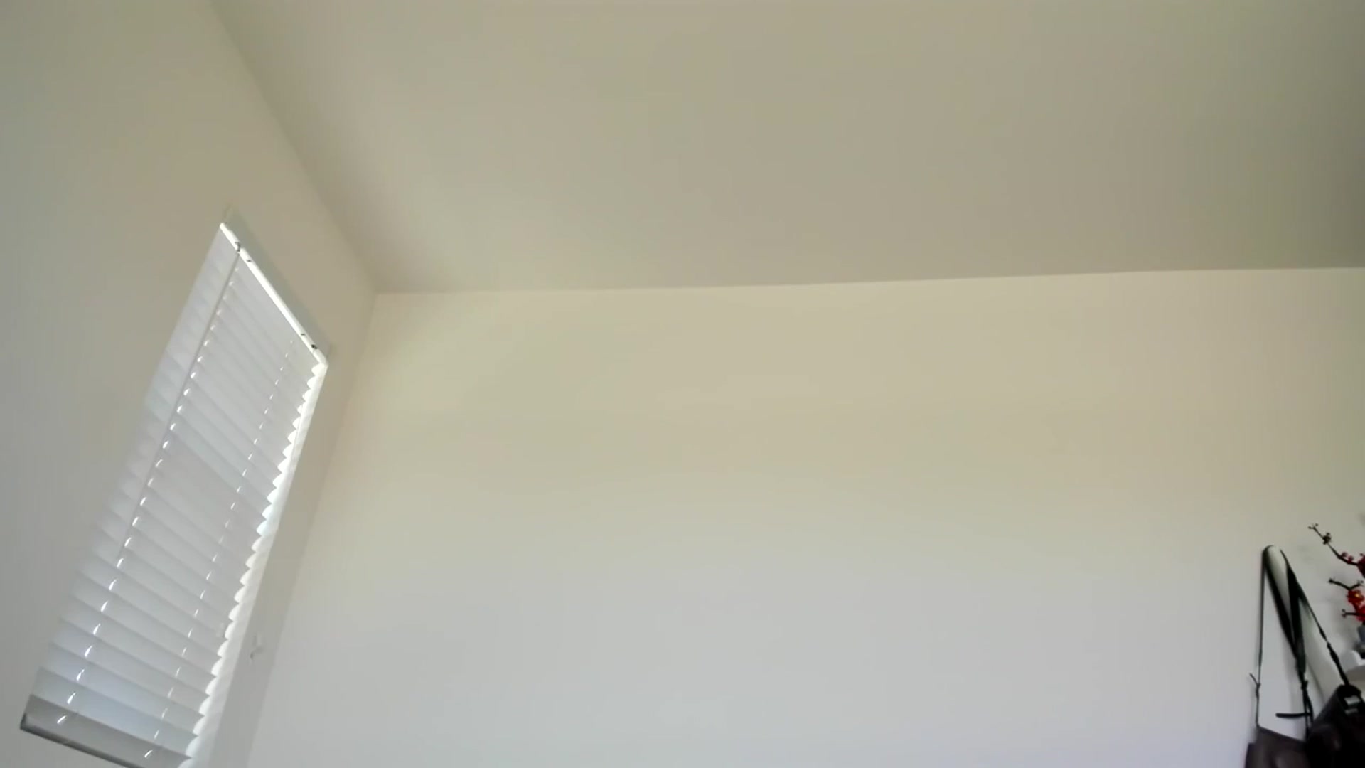 Gallery image thumbnail from lPEEPl's myfreecams stream on, 09/16/2025, 20:13 image 17 of 20