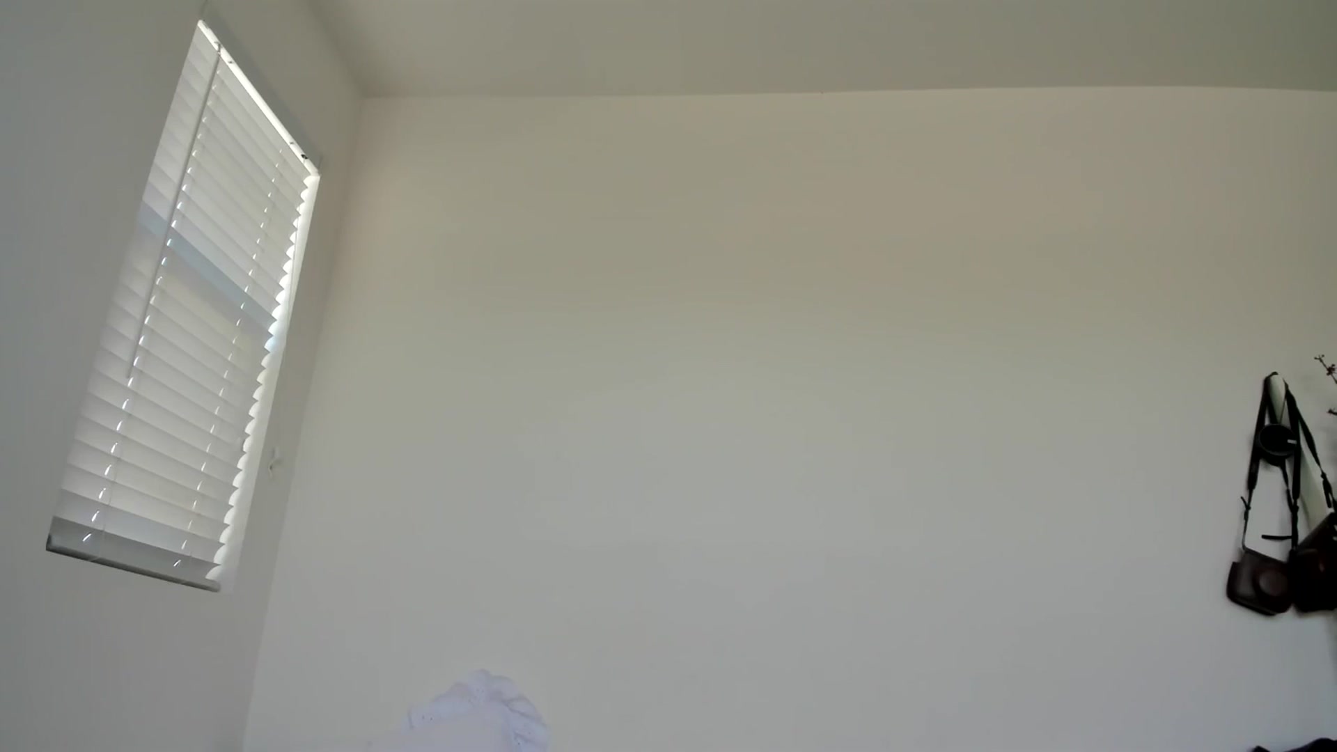 Gallery image thumbnail from lPEEPl's myfreecams stream on, 09/24/2025, 23:18 image 14 of 20
