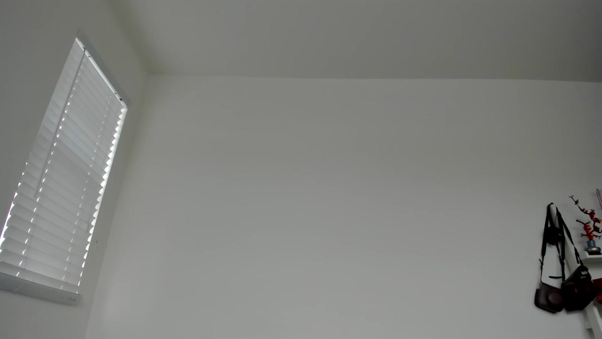 Gallery image thumbnail from lPEEPl's myfreecams stream on, 10/09/2025, 23:57 image 16 of 20