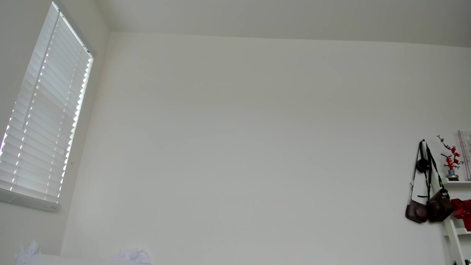 Gallery image thumbnail from lPEEPl's myfreecams stream on, 10/10/2025, 19:54 image 19 of 20