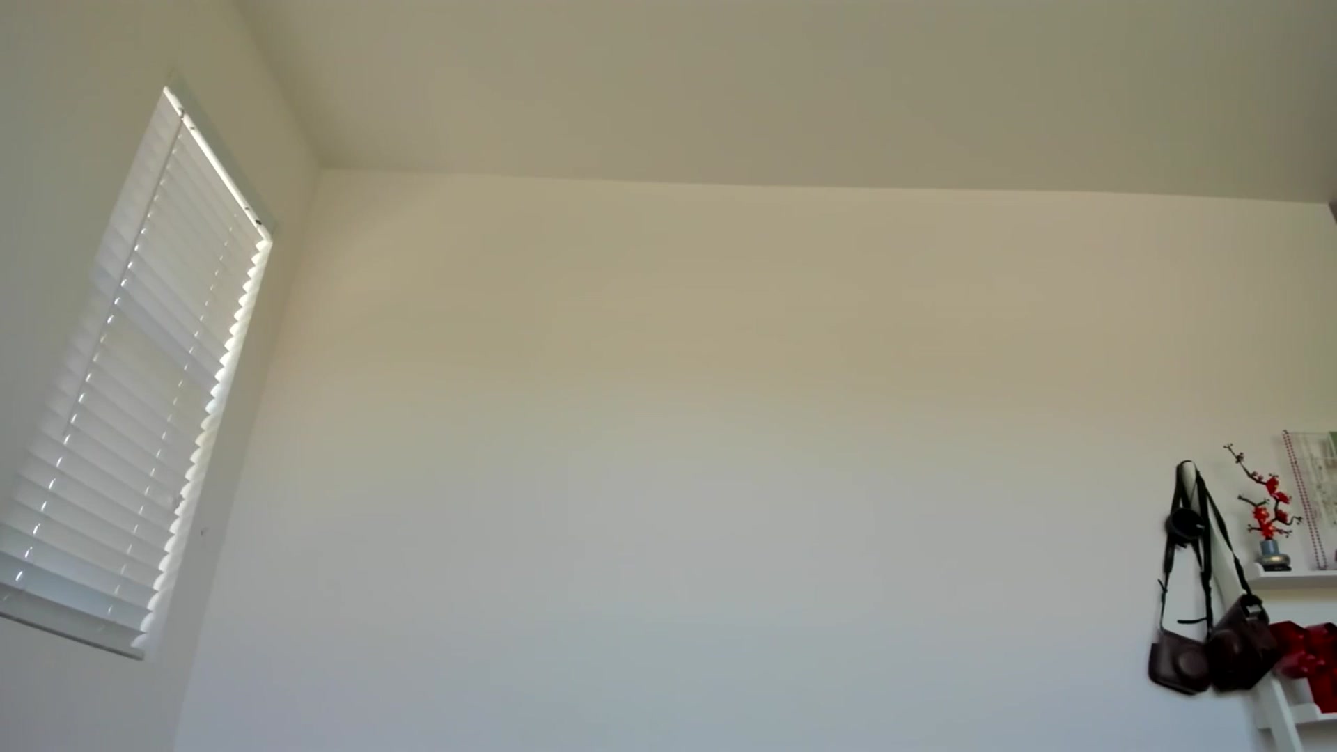 Gallery image thumbnail from lPEEPl's myfreecams stream on, 11/06/2025, 21:02 image 20 of 20