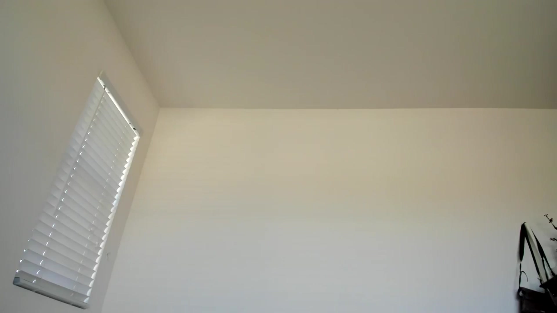Gallery image thumbnail from lPEEPl's myfreecams stream on, 12/16/2025, 22:46 image 15 of 20