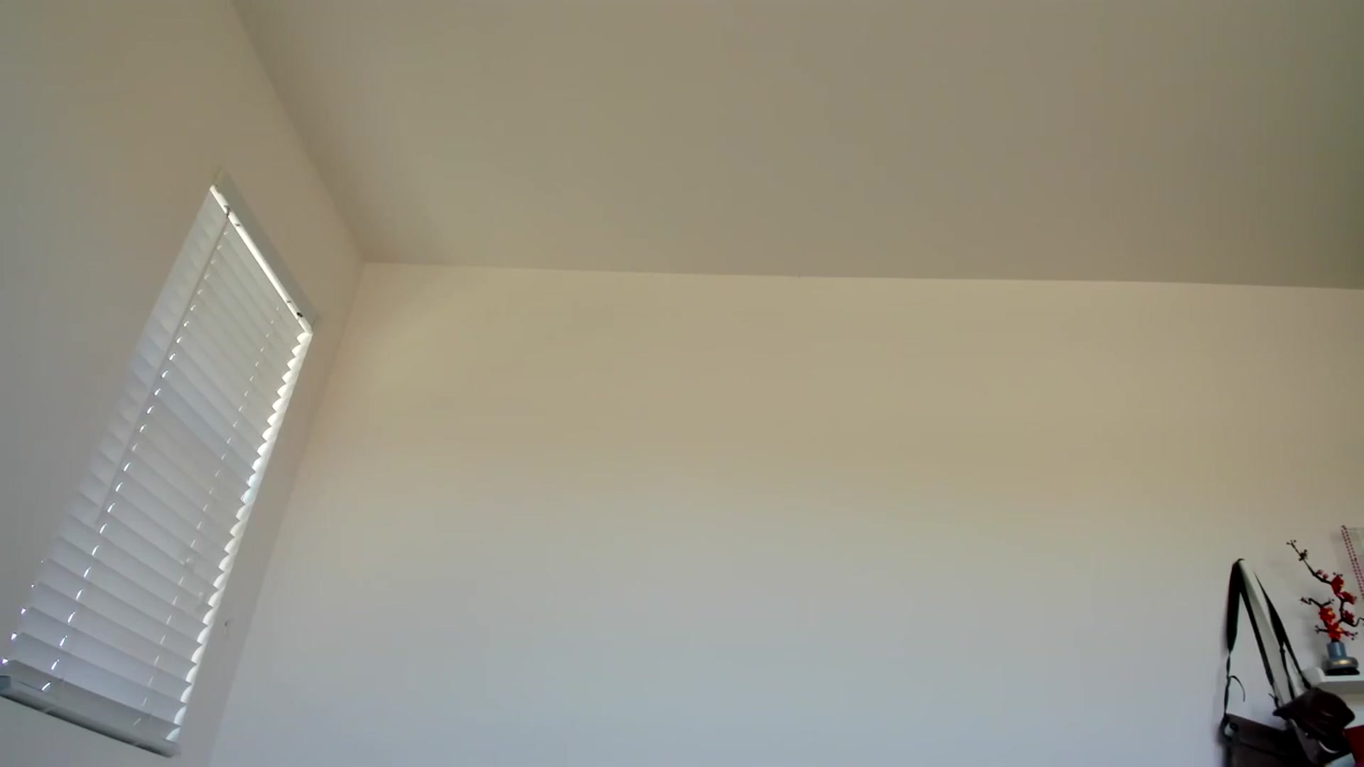 Gallery image thumbnail from lPEEPl's myfreecams stream on, 12/16/2025, 22:46 image 12 of 20