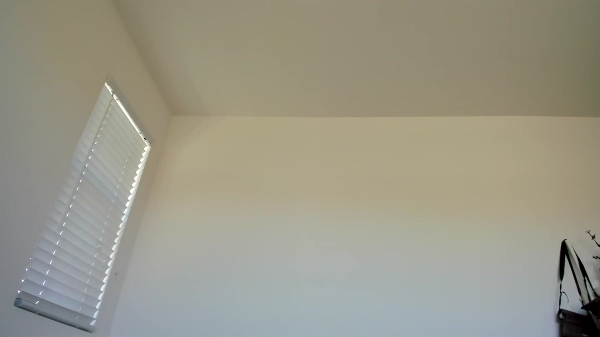 Gallery image thumbnail from lPEEPl's myfreecams stream on, 12/16/2025, 22:46 image 13 of 20