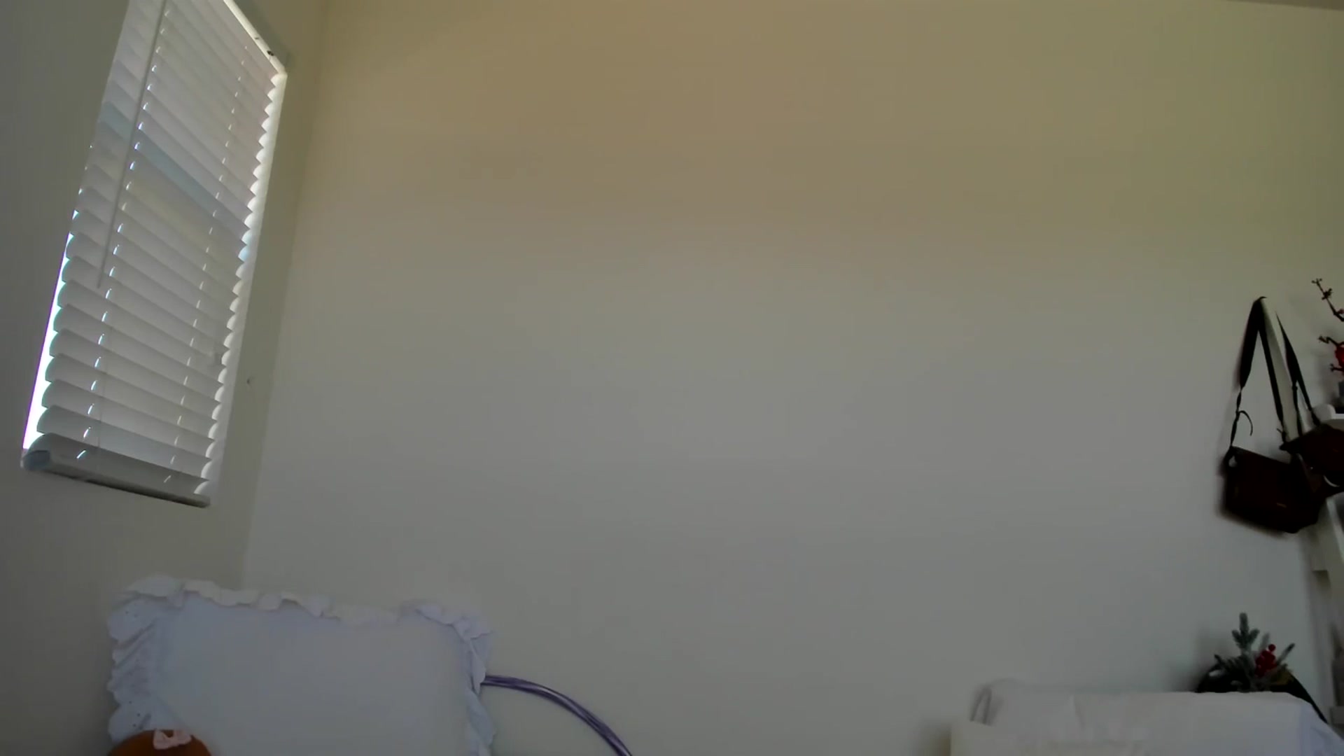 Gallery image thumbnail from lPEEPl's myfreecams stream on, 12/17/2025, 22:02 image 12 of 20