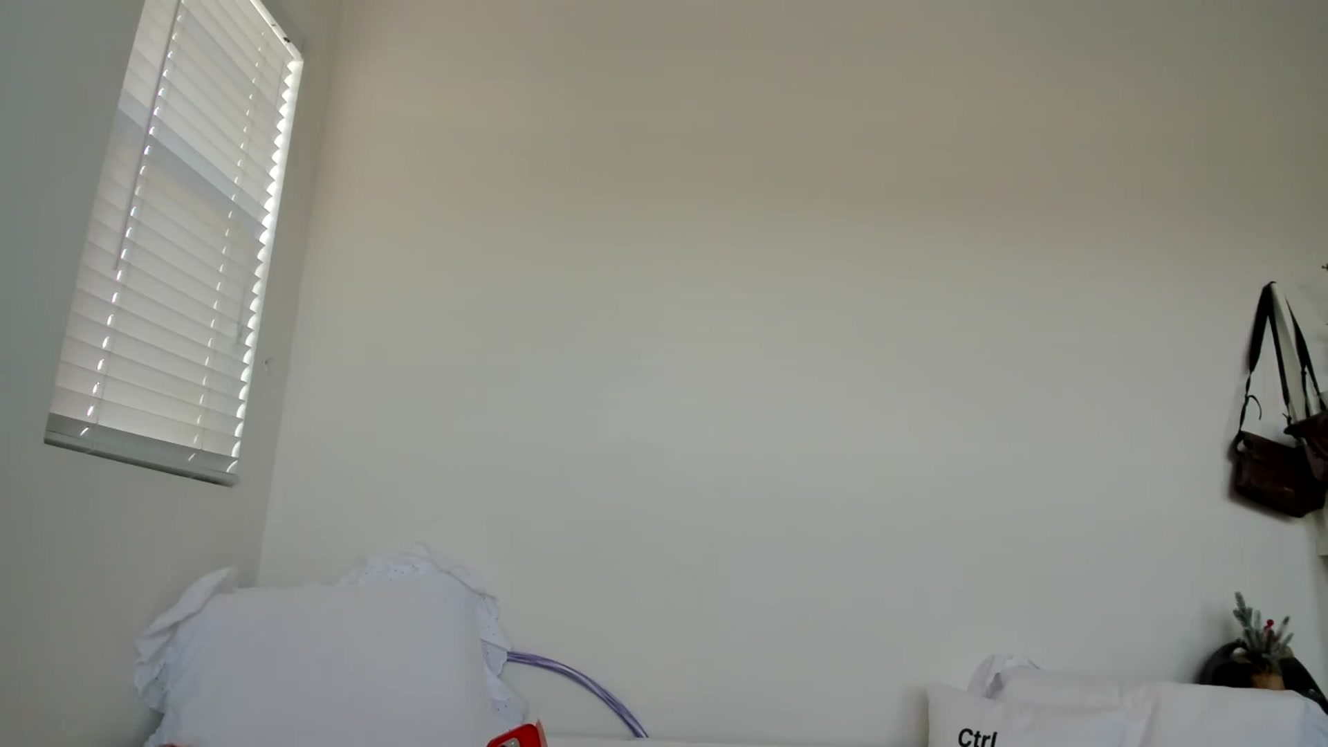 Gallery image thumbnail from lPEEPl's myfreecams stream on, 12/19/2025, 24:12 image 17 of 20