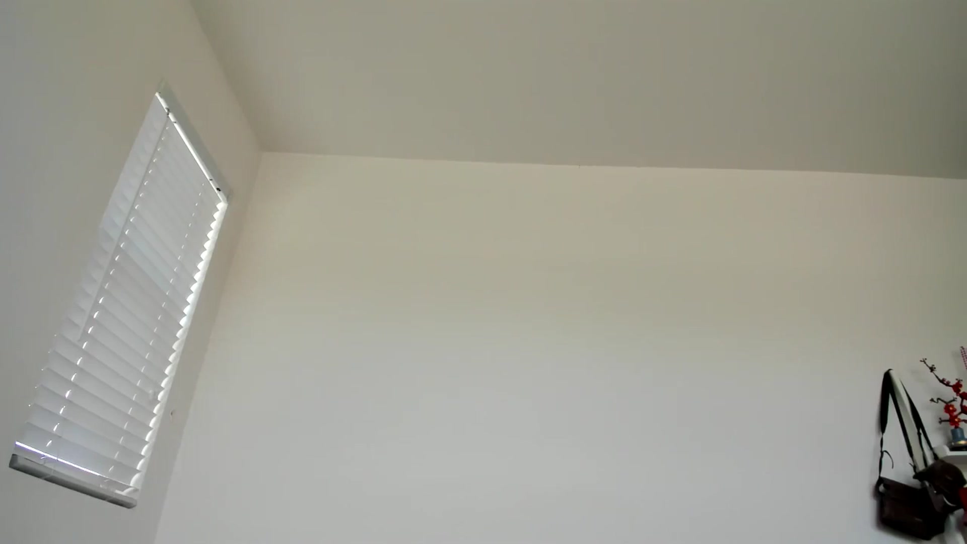 Gallery image thumbnail from lPEEPl's myfreecams stream on, 01/26/2026, 21:14 image 11 of 20