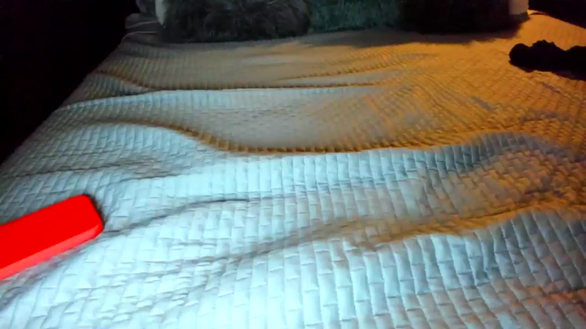 Gallery image thumbnail from lady_llama's myfreecams stream on, 03/19/2025, 19:01 image 17 of 20