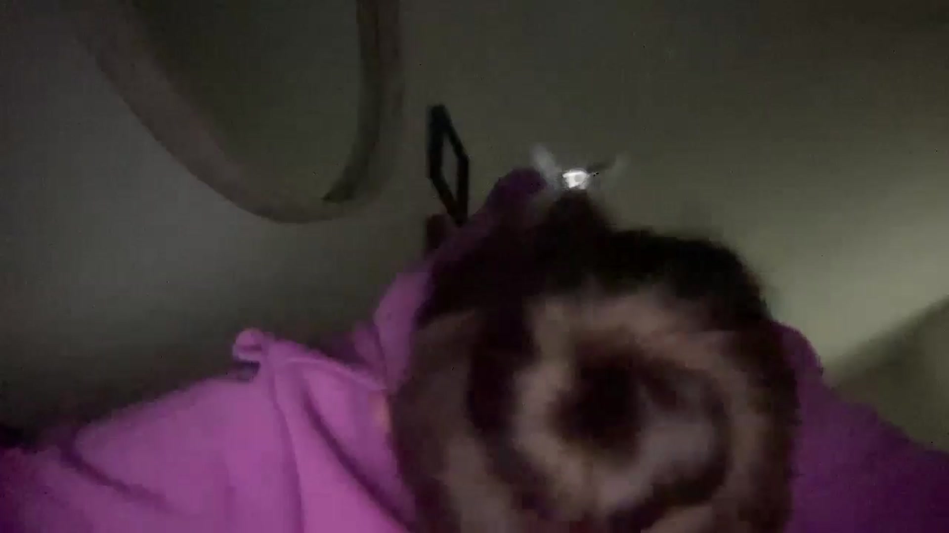 Gallery image thumbnail from lana2437's myfreecams stream on, 08/25/2024, 08:09 image 18 of 20