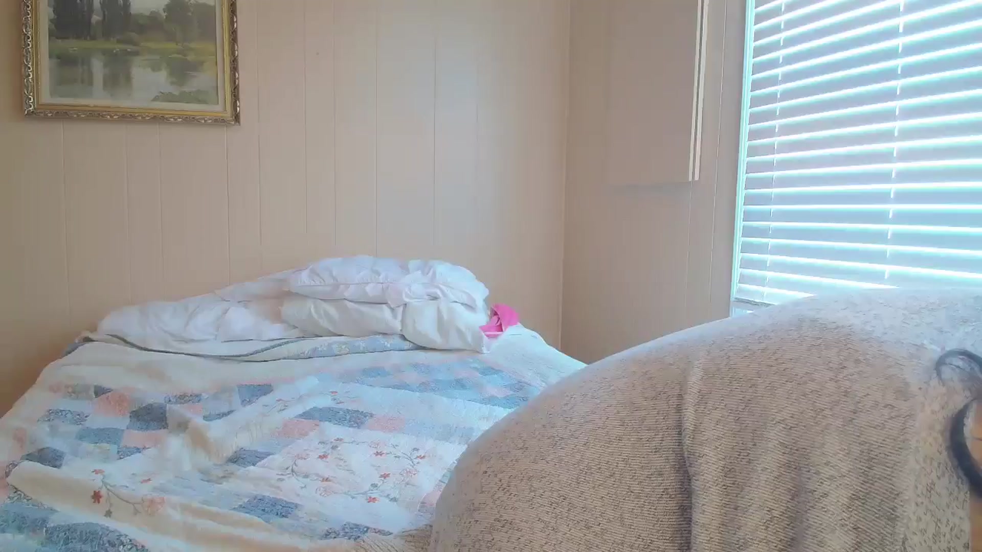 Gallery image thumbnail from laneyangelxx's myfreecams stream on, 01/03/2026, 16:17 image 8 of 20