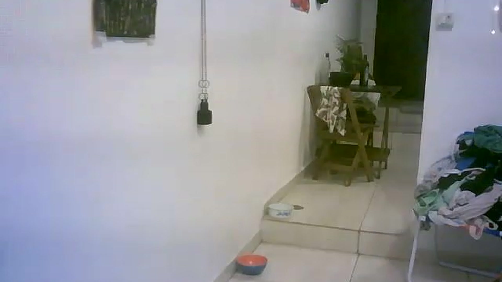 Gallery image thumbnail from lauraflor's myfreecams stream on, 04/16/2023, 21:30 image 18 of 20