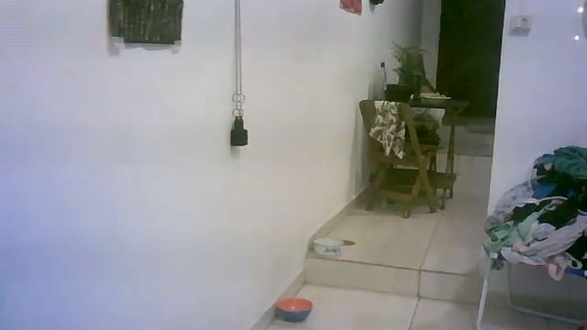 Gallery image thumbnail from lauraflor's myfreecams stream on, 04/16/2023, 21:30 image 19 of 20