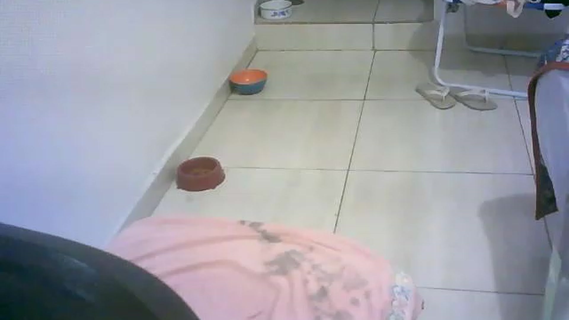 Gallery image thumbnail from lauraflor's myfreecams stream on, 04/16/2023, 22:56 image 10 of 20