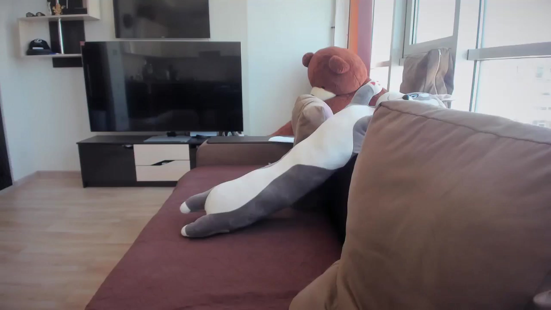 Gallery image thumbnail from laurensaenz's myfreecams stream on, 08/04/2025, 13:25 image 7 of 20