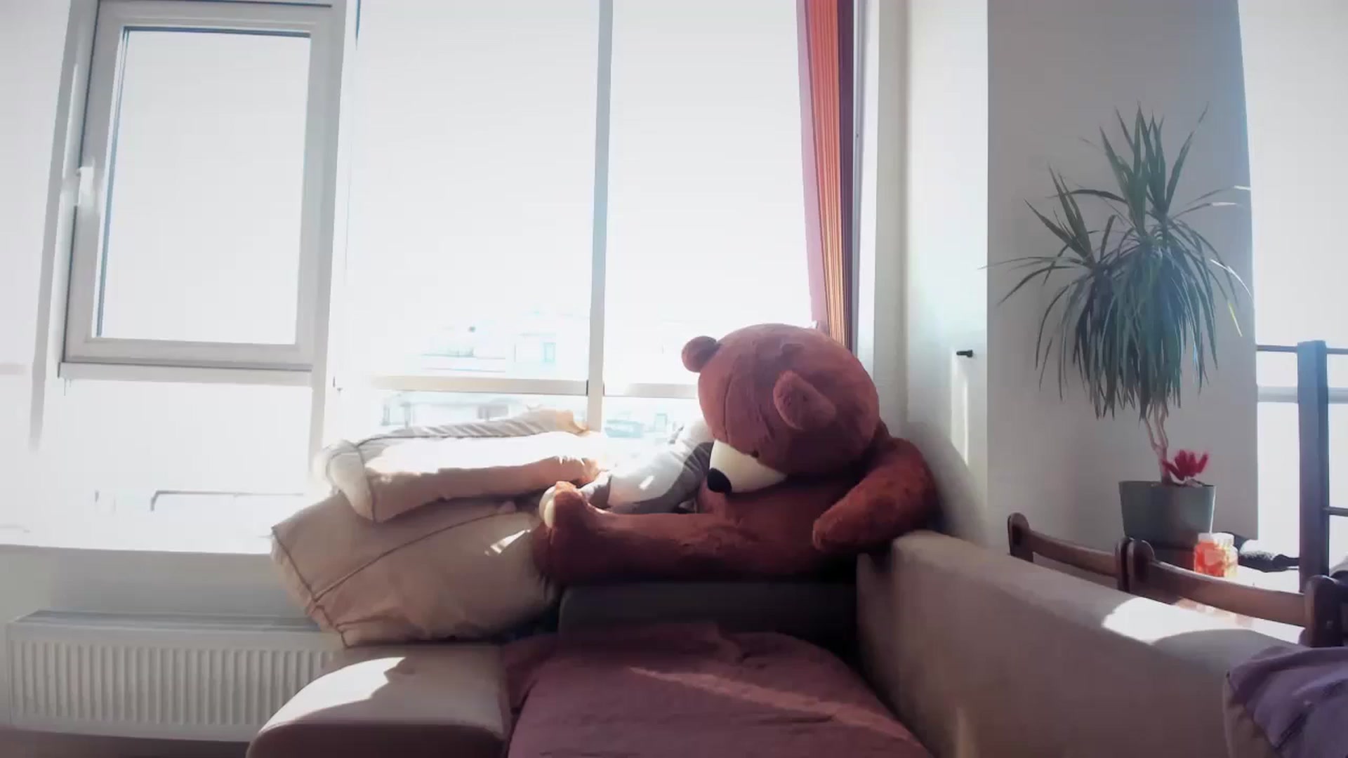 Gallery image thumbnail from laurensaenz's myfreecams stream on, 08/26/2025, 07:38 image 16 of 20