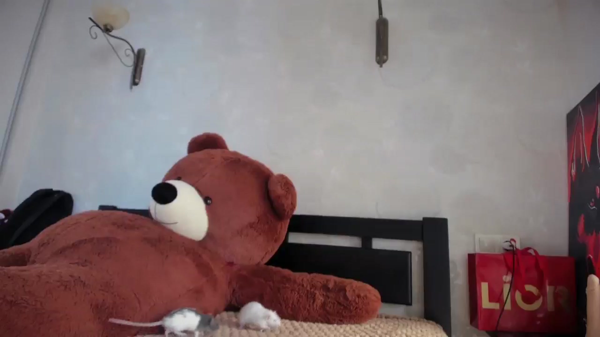 Gallery image thumbnail from laurensaenz's myfreecams stream on, 05/04/2026, 05:19 image 16 of 20