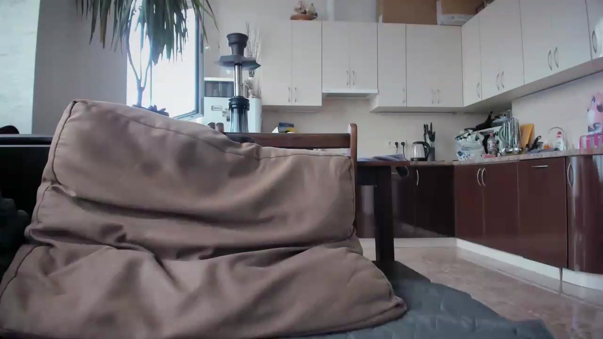 Gallery image thumbnail from laurensaenz's myfreecams stream on, 06/15/2026, 08:49 image 13 of 20