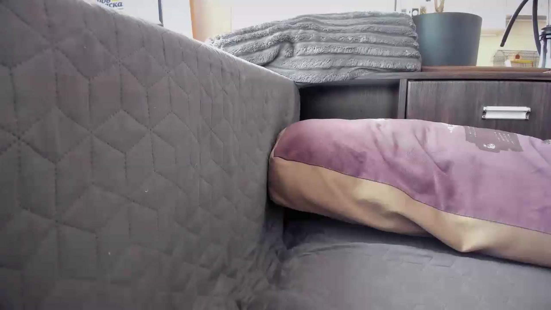 Gallery image thumbnail from laurensaenz's myfreecams stream on, 08/19/2026, 08:06 image 17 of 20