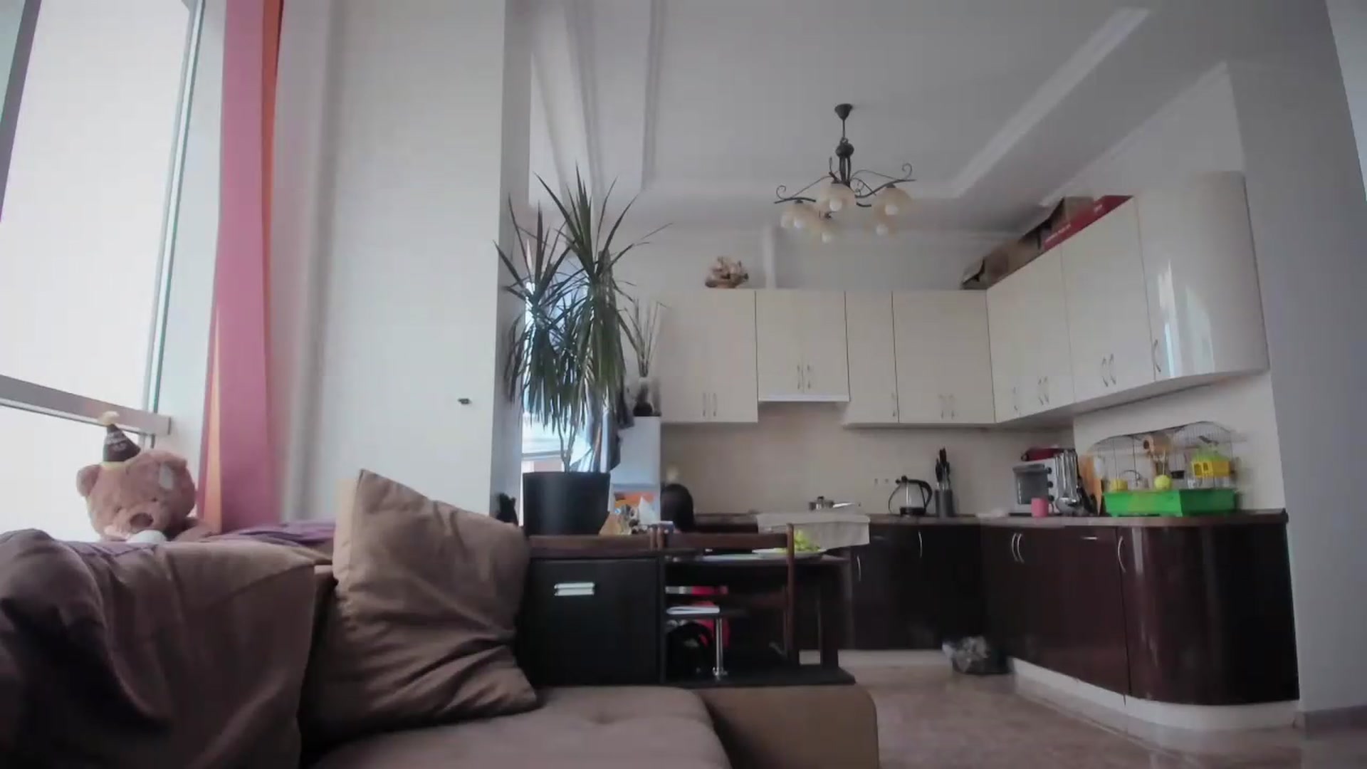 Gallery image thumbnail from laurensaenz's myfreecams stream on, 08/26/2026, 07:01 image 20 of 20