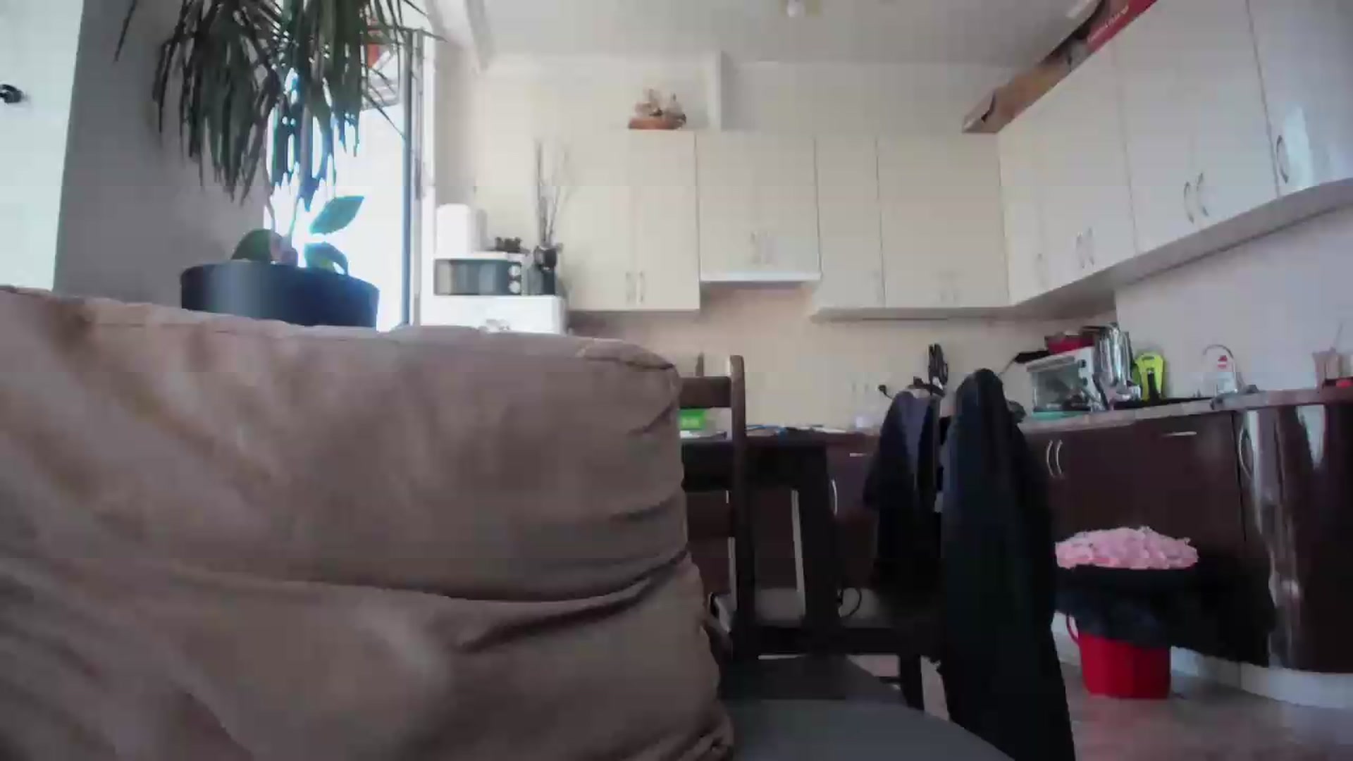 Gallery image thumbnail from laurensaenz's myfreecams stream on, 09/06/2026, 08:21 image 4 of 20