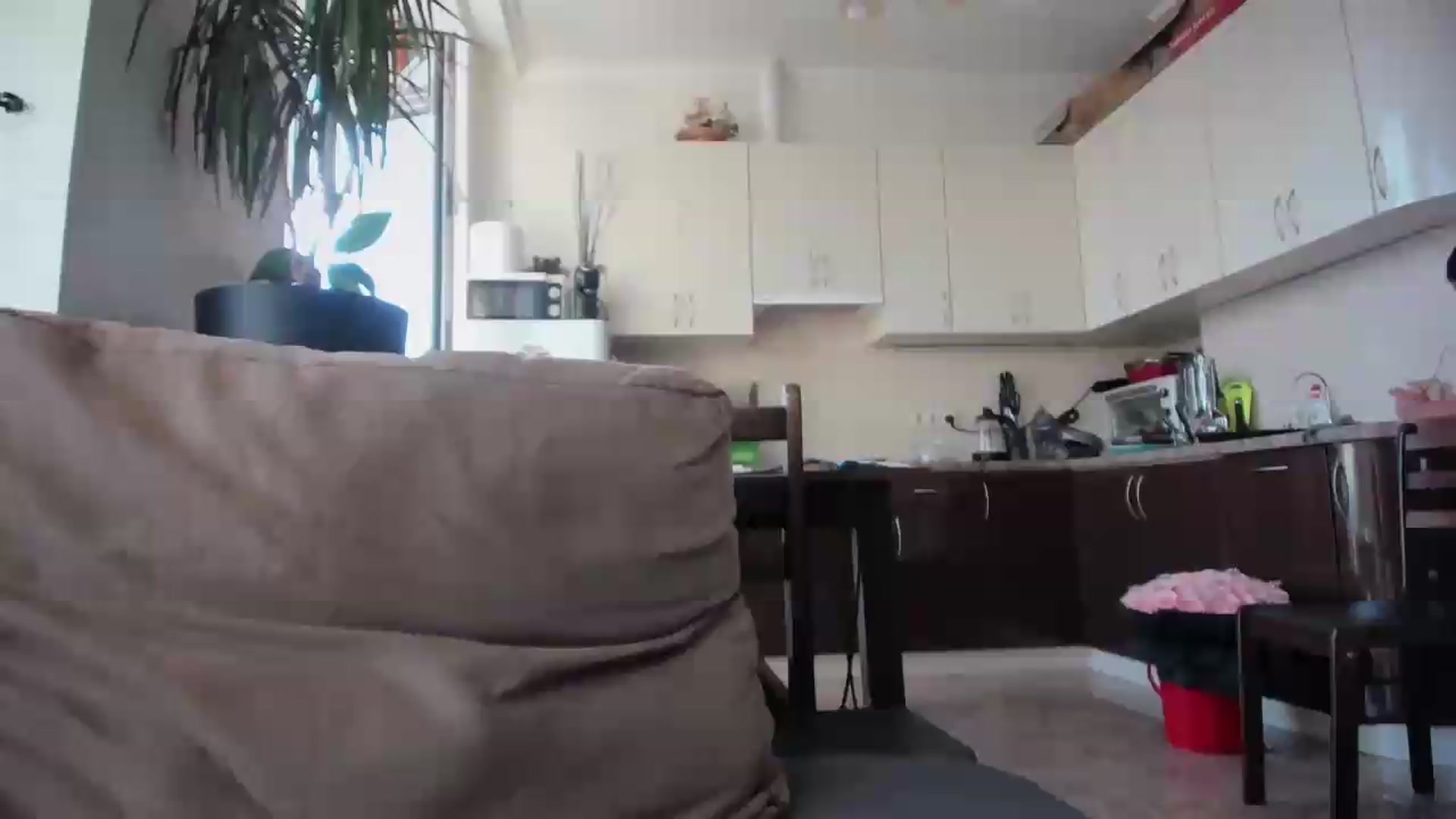 Gallery image thumbnail from laurensaenz's myfreecams stream on, 09/06/2026, 08:21 image 16 of 20