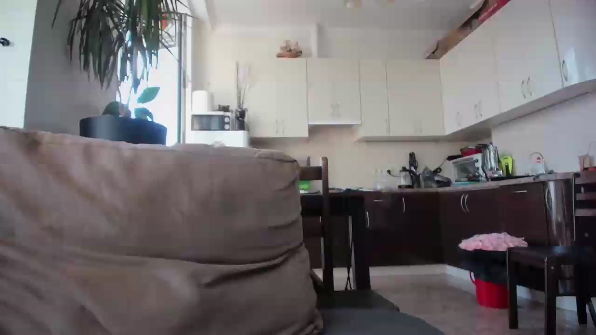 Gallery image thumbnail from laurensaenz's myfreecams stream on, 09/06/2026, 08:21 image 14 of 20