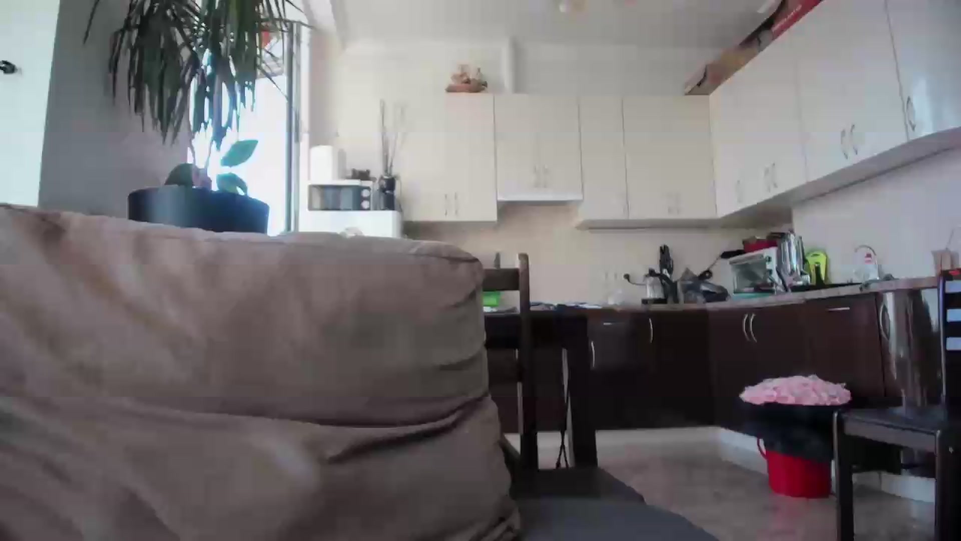 Gallery image thumbnail from laurensaenz's myfreecams stream on, 09/06/2026, 08:21 image 10 of 20