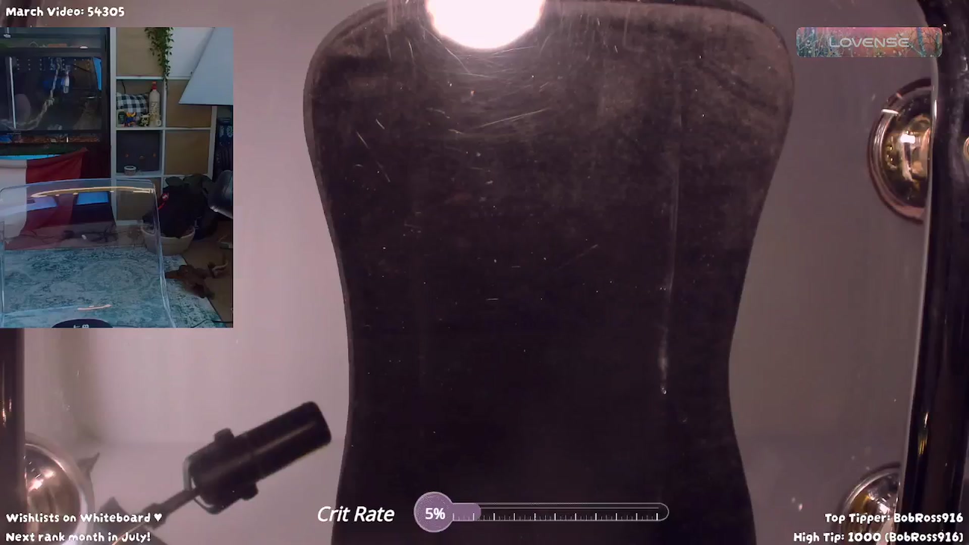 Gallery image thumbnail from letitsn0w's myfreecams stream on, 03/18/2024, 16:46 image 6 of 20