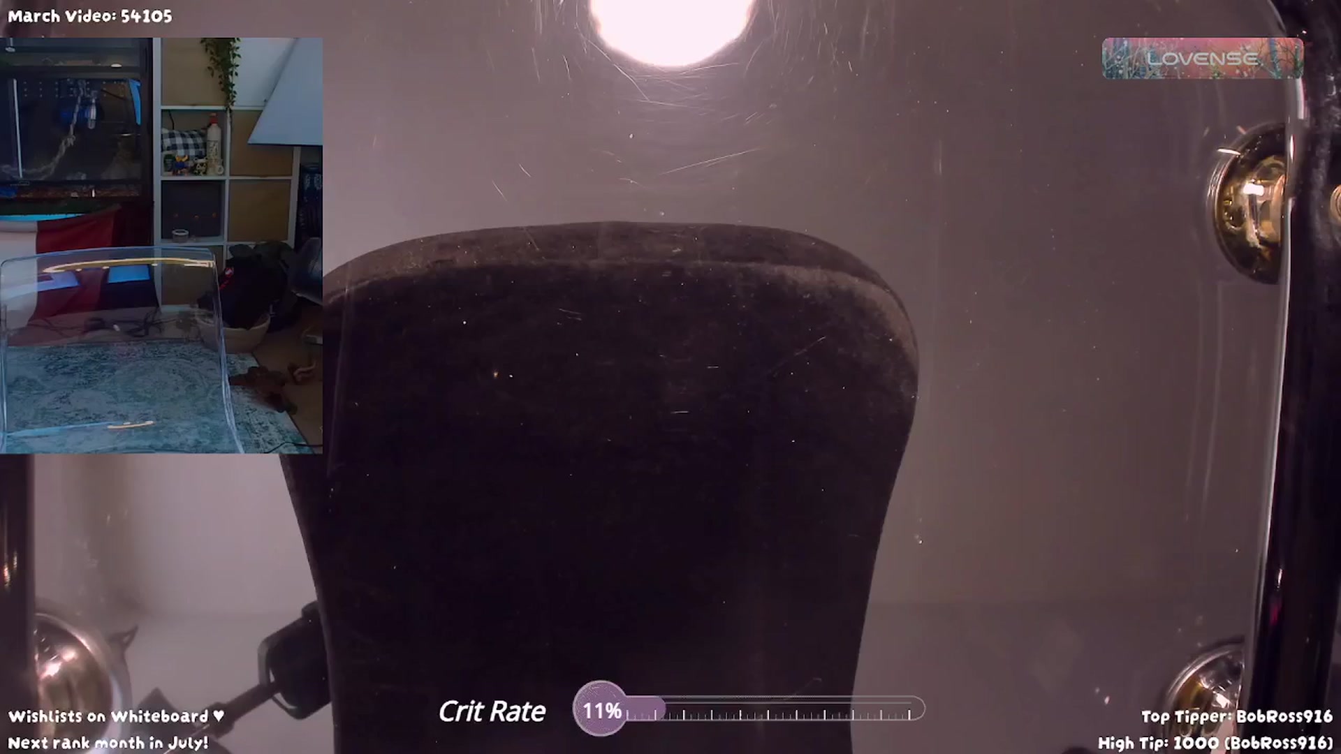 Gallery image thumbnail from letitsn0w's myfreecams stream on, 03/18/2024, 16:46 image 18 of 20