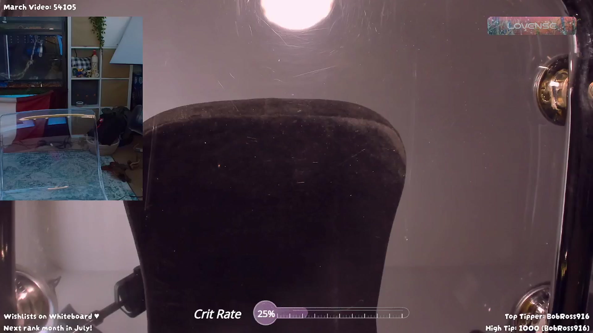 Gallery image thumbnail from letitsn0w's myfreecams stream on, 03/18/2024, 16:46 image 17 of 20