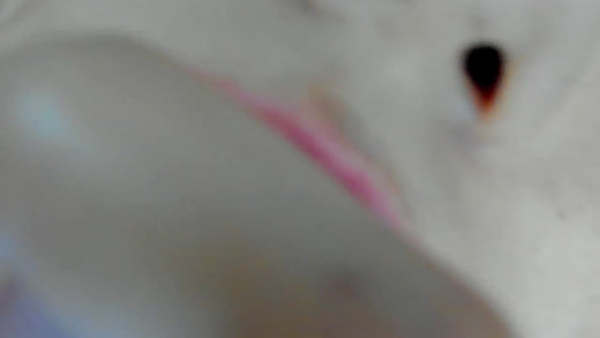 Gallery image thumbnail from leyla_blue's myfreecams stream on, 10/18/2023, 01:52 image 14 of 20