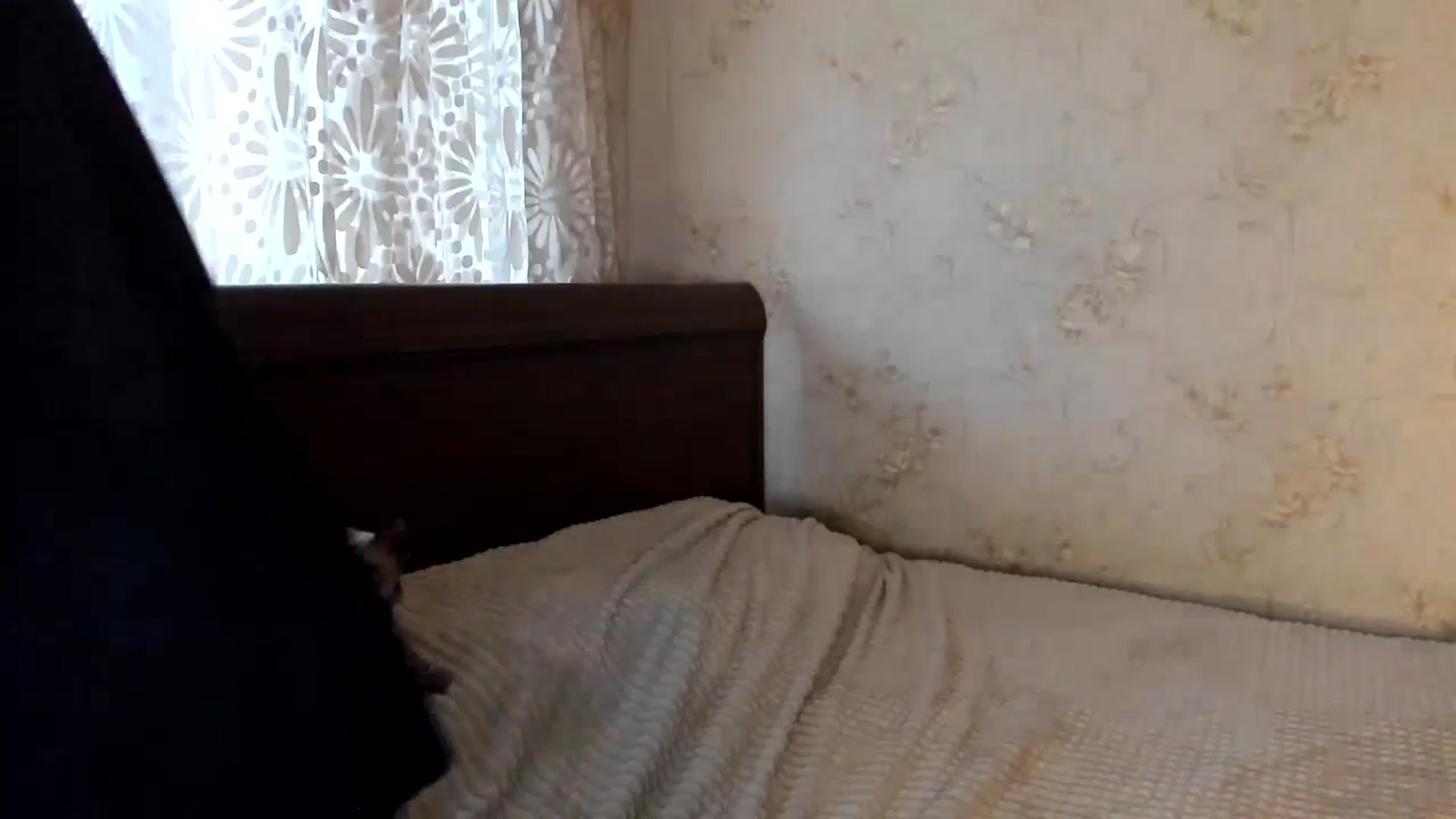 Gallery image thumbnail from lifethebest's myfreecams stream on, 10/29/2024, 09:35 image 19 of 20