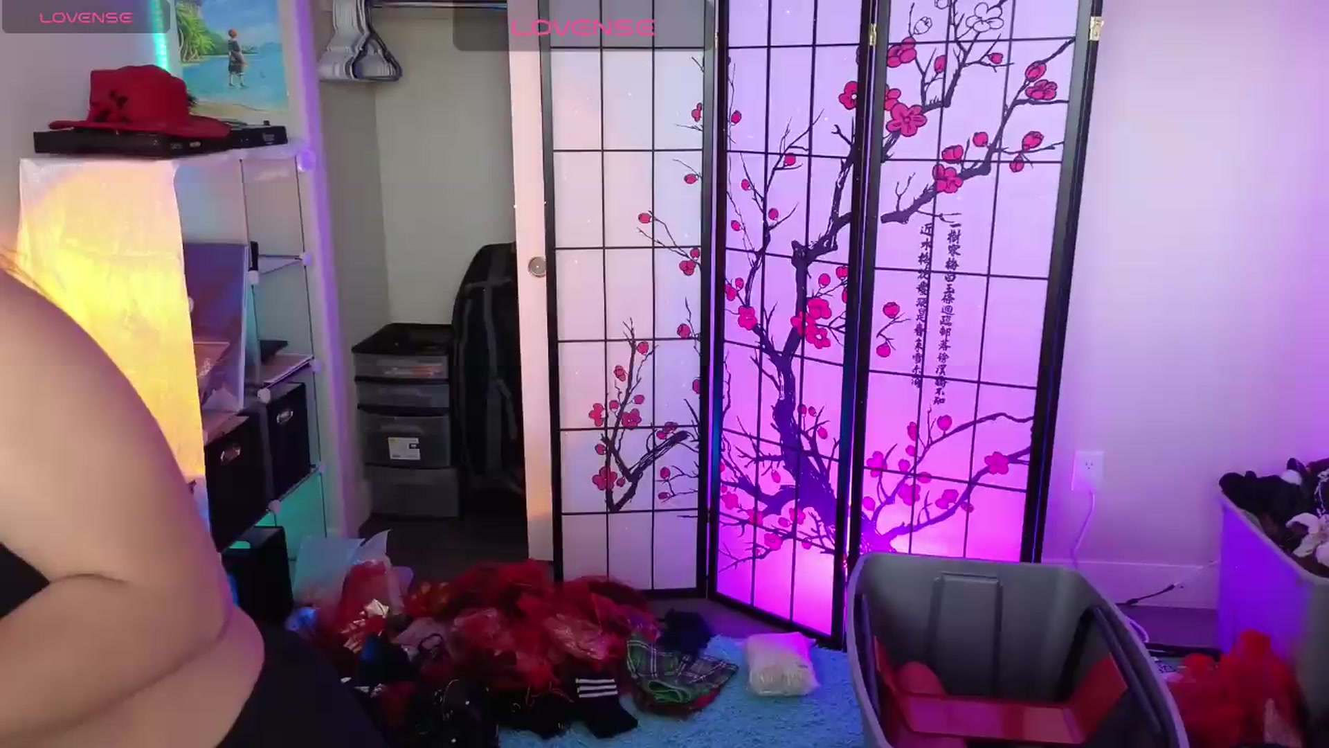 Gallery image thumbnail from lilRavenFox's myfreecams stream on, 05/20/2026, 20:15 image 17 of 20