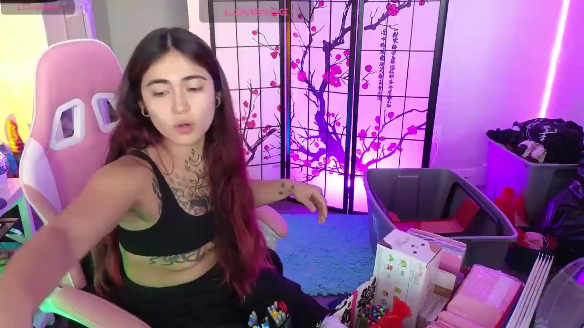 Gallery image thumbnail from lilRavenFox's myfreecams stream on, 05/20/2026, 20:15 image 10 of 20