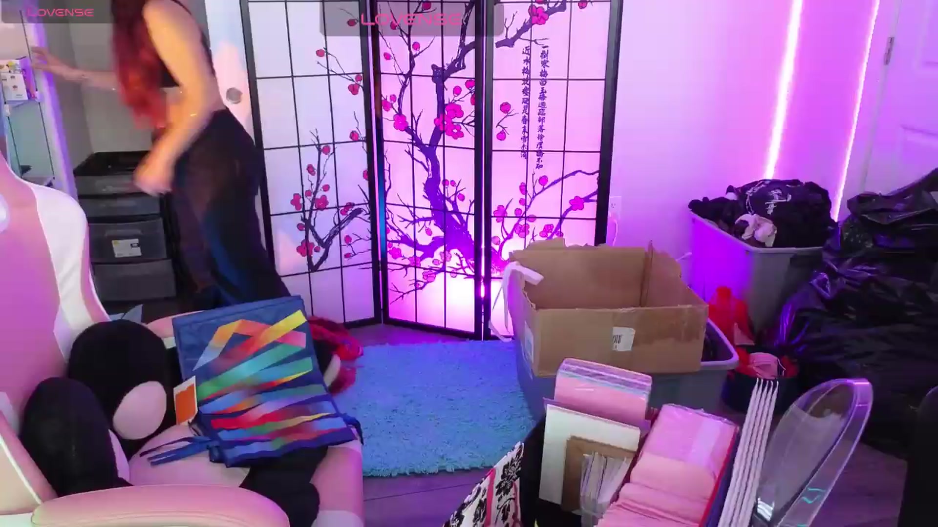Gallery image thumbnail from lilRavenFox's myfreecams stream on, 05/20/2026, 20:15 image 5 of 20