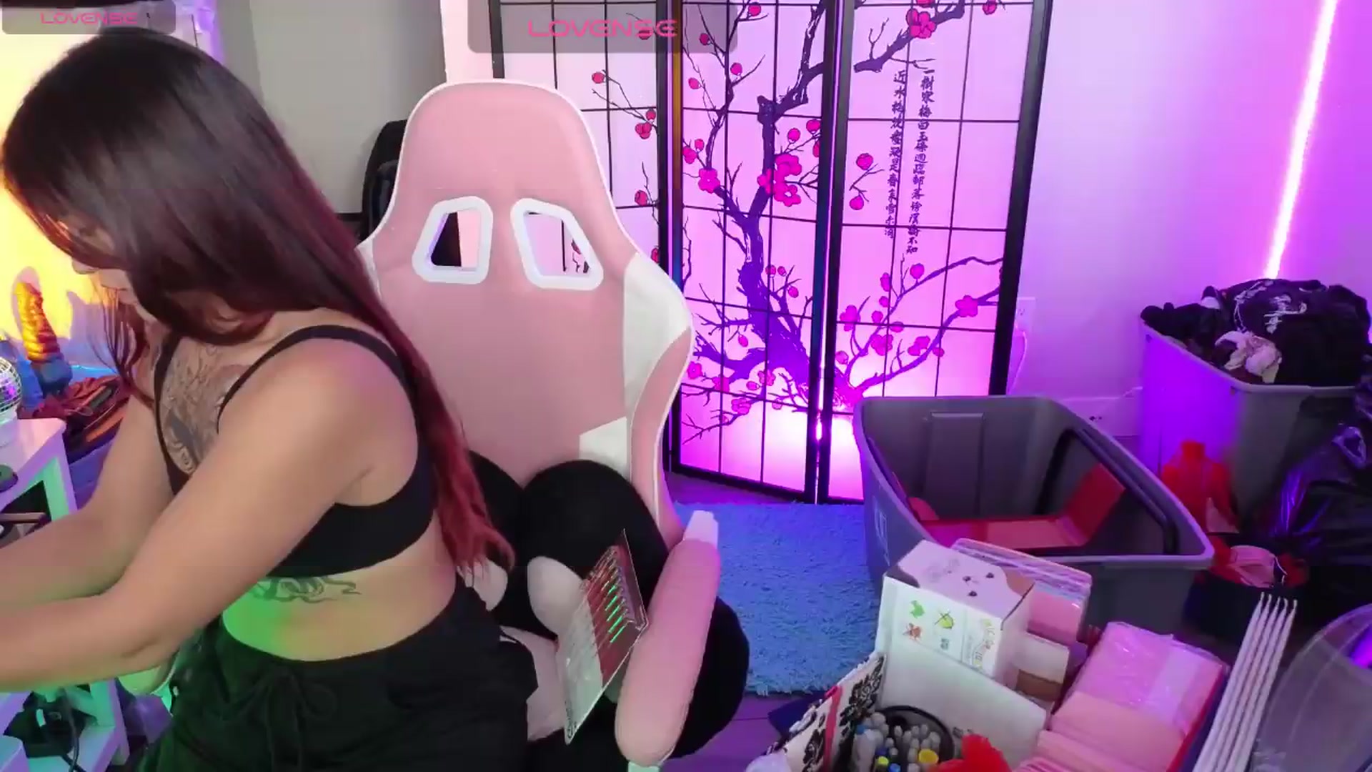 Gallery image thumbnail from lilRavenFox's myfreecams stream on, 05/20/2026, 20:15 image 11 of 20